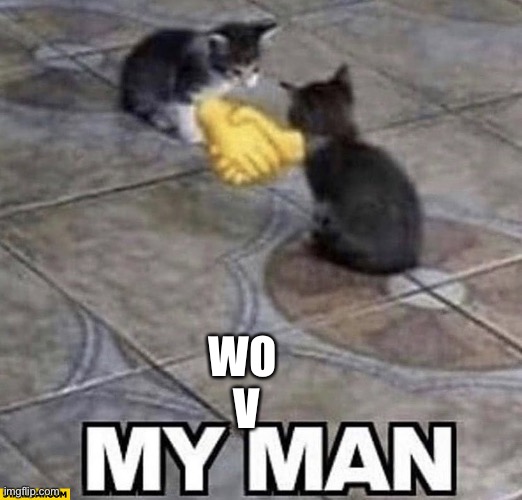 Cats shaking hands | WO
 V | image tagged in cats shaking hands | made w/ Imgflip meme maker