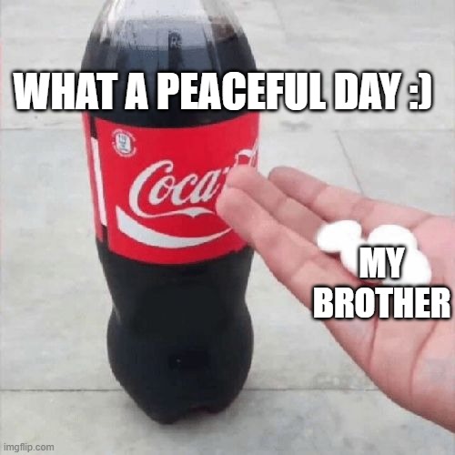 coke n heck | WHAT A PEACEFUL DAY :); MY BROTHER | image tagged in coke mentos hand meme,coke,share a coke with | made w/ Imgflip meme maker