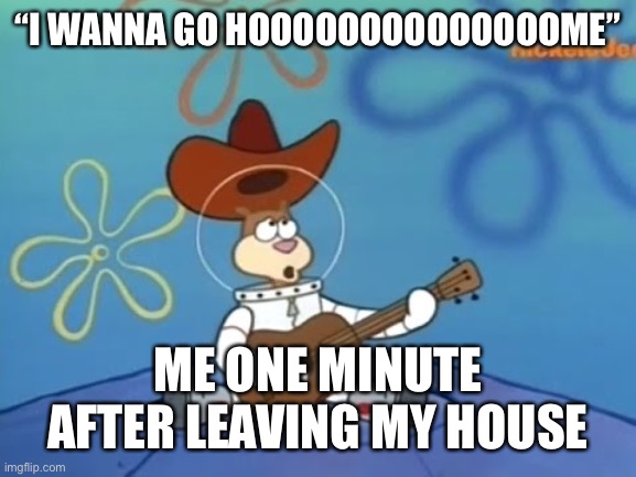 I wanna go home | “I WANNA GO HOOOOOOOOOOOOOOME”; ME ONE MINUTE AFTER LEAVING MY HOUSE | image tagged in i wanna go home | made w/ Imgflip meme maker