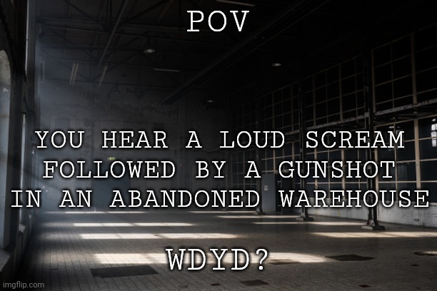 POV; YOU HEAR A LOUD SCREAM FOLLOWED BY A GUNSHOT IN AN ABANDONED WAREHOUSE; WDYD? | image tagged in oh wow are you actually reading these tags | made w/ Imgflip meme maker