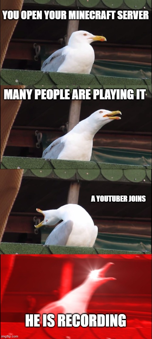 Inhaling Seagull Meme | YOU OPEN YOUR MINECRAFT SERVER; MANY PEOPLE ARE PLAYING IT; A YOUTUBER JOINS; HE IS RECORDING | image tagged in memes,inhaling seagull | made w/ Imgflip meme maker