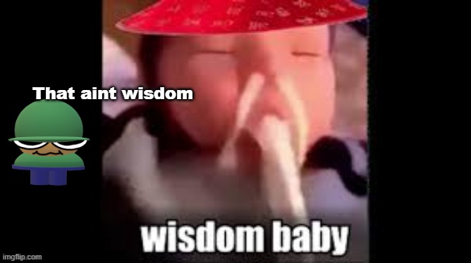 Wisdom baby | That aint wisdom | image tagged in wisdom baby | made w/ Imgflip meme maker