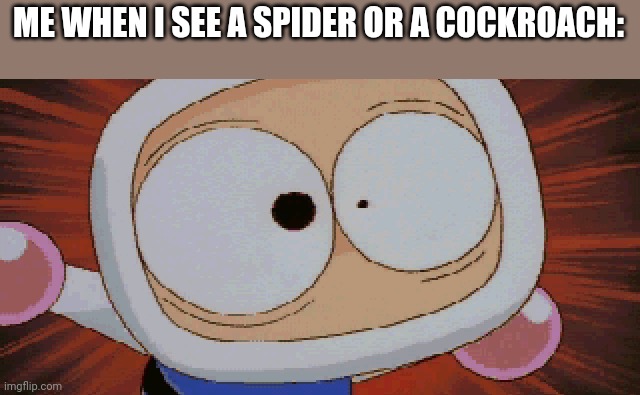I hate those bugs | ME WHEN I SEE A SPIDER OR A COCKROACH: | image tagged in bomberman scared,bomberman,relatable,memes,funny,so true memes | made w/ Imgflip meme maker