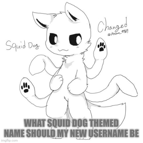 BTW not my art | WHAT SQUID DOG THEMED NAME SHOULD MY NEW USERNAME BE | made w/ Imgflip meme maker