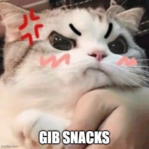 cat annoyed 2 | GIB SNACKS | image tagged in cat annoyed 2 | made w/ Imgflip meme maker