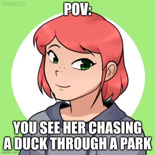 no erp, though romance is aloud, no joke ocs, and no killing her. enjoy! | POV:; YOU SEE HER CHASING A DUCK THROUGH A PARK | made w/ Imgflip meme maker