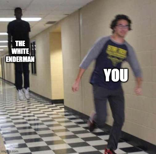 floating boy chasing running boy | THE WHITE ENDERMAN YOU | image tagged in floating boy chasing running boy | made w/ Imgflip meme maker