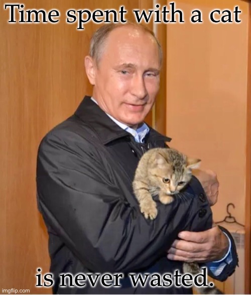 Putin with cat | Time spent with a cat; is never wasted. | image tagged in vladimir putin,putin,russia,cats,words of wisdom | made w/ Imgflip meme maker