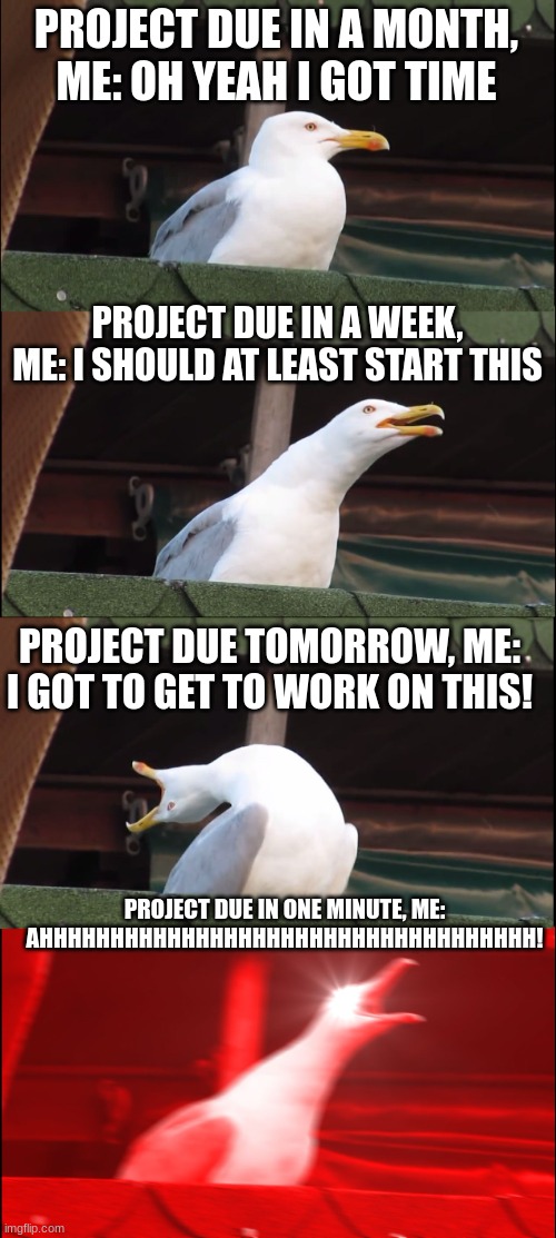 should be doing homework rn | PROJECT DUE IN A MONTH, ME: OH YEAH I GOT TIME; PROJECT DUE IN A WEEK, ME: I SHOULD AT LEAST START THIS; PROJECT DUE TOMORROW, ME: I GOT TO GET TO WORK ON THIS! PROJECT DUE IN ONE MINUTE, ME: AHHHHHHHHHHHHHHHHHHHHHHHHHHHHHHHHHHH! | image tagged in memes,inhaling seagull | made w/ Imgflip meme maker