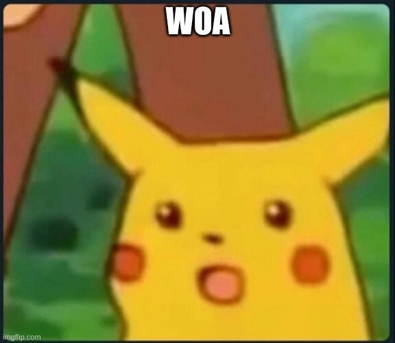 Surprised Pikachu | WOA | image tagged in surprised pikachu | made w/ Imgflip meme maker