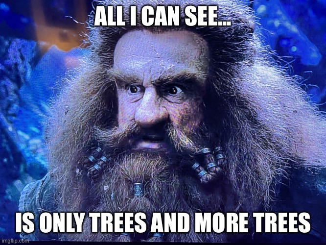 Hobbit - Trees and More Trees | ALL I CAN SEE... IS ONLY TREES AND MORE TREES | image tagged in hobbit - trees and more trees | made w/ Imgflip meme maker