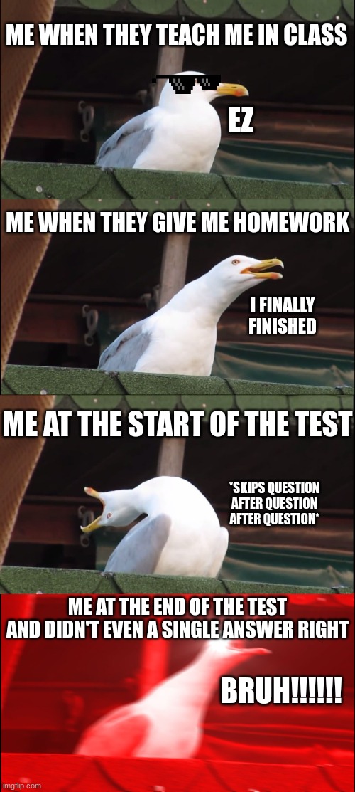 students observant of school | ME WHEN THEY TEACH ME IN CLASS; EZ; ME WHEN THEY GIVE ME HOMEWORK; I FINALLY FINISHED; ME AT THE START OF THE TEST; *SKIPS QUESTION AFTER QUESTION AFTER QUESTION*; ME AT THE END OF THE TEST AND DIDN'T EVEN A SINGLE ANSWER RIGHT; BRUH!!!!!! | image tagged in memes,inhaling seagull,school,homework | made w/ Imgflip meme maker