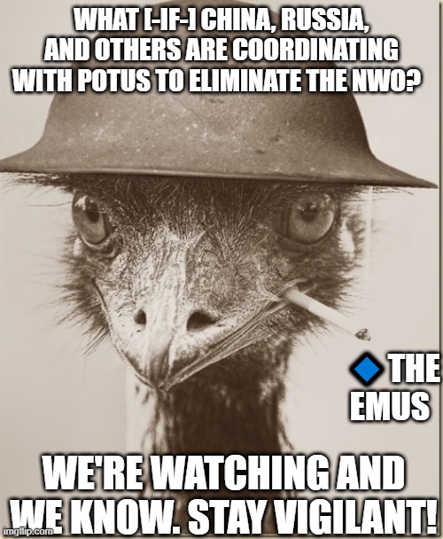 War the next distraction | WHAT [-IF-] CHINA, RUSSIA, AND OTHERS ARE COORDINATING WITH POTUS TO ELIMINATE THE NWO? 🔹THE EMUS; WE'RE WATCHING AND WE KNOW. STAY VIGILANT! | image tagged in war emu,propaganda,ww3,qanon,freedom of the press,stay alert | made w/ Imgflip meme maker