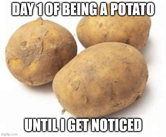 potato | DAY 1 OF BEING A POTATO; UNTIL I GET NOTICED | image tagged in potato | made w/ Imgflip meme maker