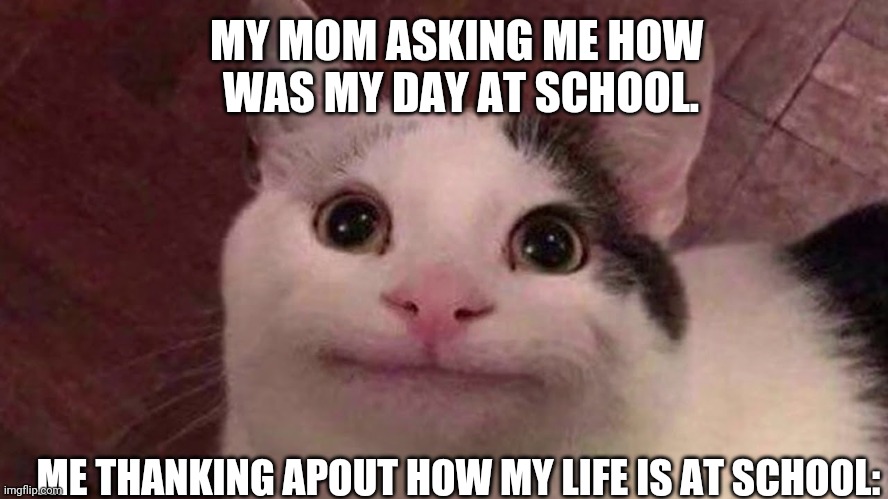 Mmmmmmmmmmmmmmmmm | MY MOM ASKING ME HOW 
WAS MY DAY AT SCHOOL. ME THANKING APOUT HOW MY LIFE IS AT SCHOOL: | image tagged in i'm ok with this | made w/ Imgflip meme maker