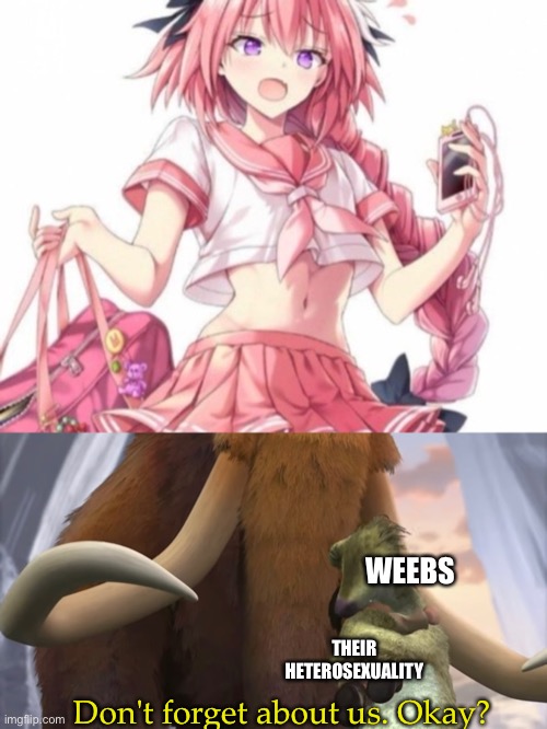 So long partner | WEEBS; THEIR HETEROSEXUALITY; Don't forget about us. Okay? | made w/ Imgflip meme maker