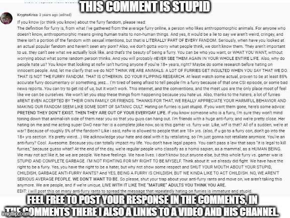 Dumb furry tries to demonize anti furries. Feel free to respond to him in the comment section: | THIS COMMENT IS STUPID; FEEL FREE TO POST YOUR RESPONSE IN THE COMMENTS, IN THE COMMENTS THERE I ALSO A LINKS TO A VIDEO AND HIS CHANNEL. | image tagged in anti furry,cringe,dumb people | made w/ Imgflip meme maker