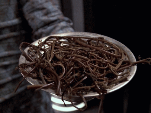 66z6pt.gif