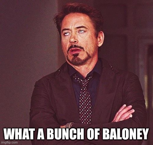 Robert Downey Jr Annoyed | WHAT A BUNCH OF BALONEY | image tagged in robert downey jr annoyed | made w/ Imgflip meme maker