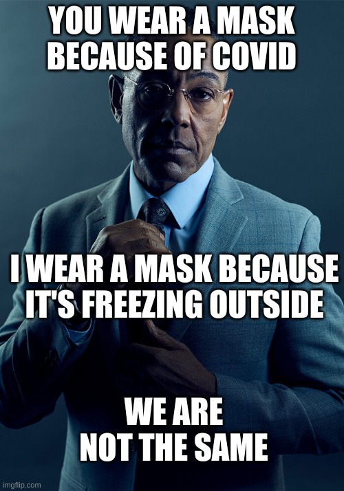 i'd be surprised if this made it into a memenade video | YOU WEAR A MASK BECAUSE OF COVID; I WEAR A MASK BECAUSE IT'S FREEZING OUTSIDE; WE ARE NOT THE SAME | image tagged in gus fring we are not the same,relatable,memes,winter memes | made w/ Imgflip meme maker