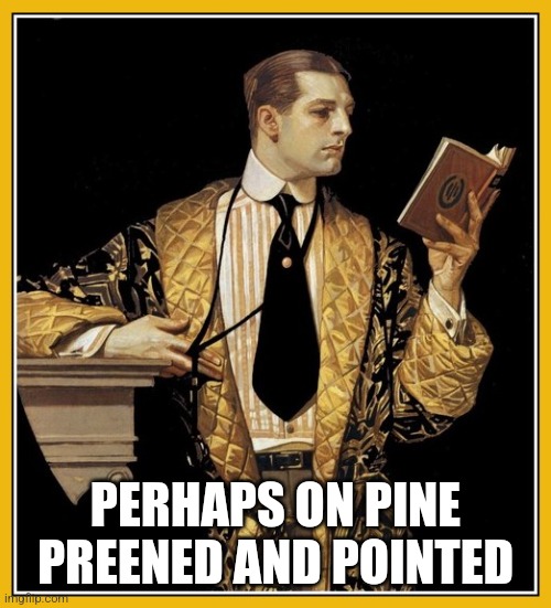 Poetry dude | PERHAPS ON PINE PREENED AND POINTED | image tagged in poetry dude | made w/ Imgflip meme maker