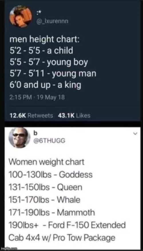 I found a missing piece of the Bible | image tagged in funny,memes,dark humor,truck | made w/ Imgflip meme maker