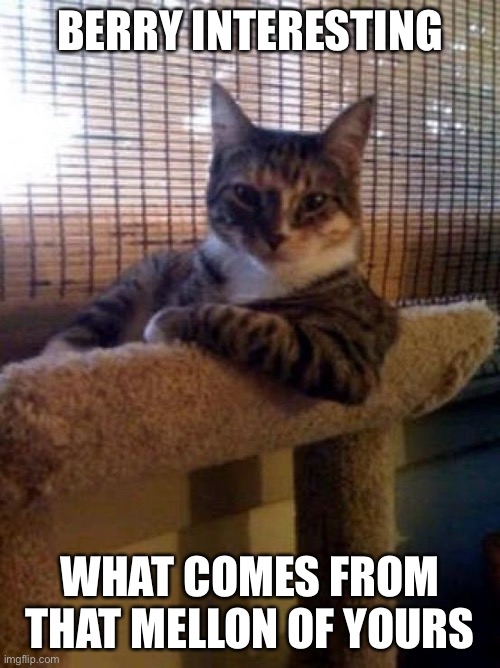 The Most Interesting Cat In The World Meme | BERRY INTERESTING WHAT COMES FROM THAT MELLON OF YOURS | image tagged in memes,the most interesting cat in the world | made w/ Imgflip meme maker