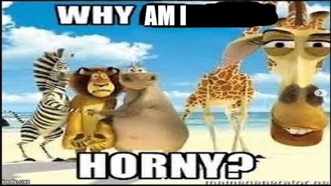 E | AM I | image tagged in why are you horny | made w/ Imgflip meme maker