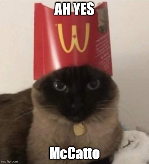 McCatto | AH YES; McCatto | image tagged in cat,mcdonalds | made w/ Imgflip meme maker