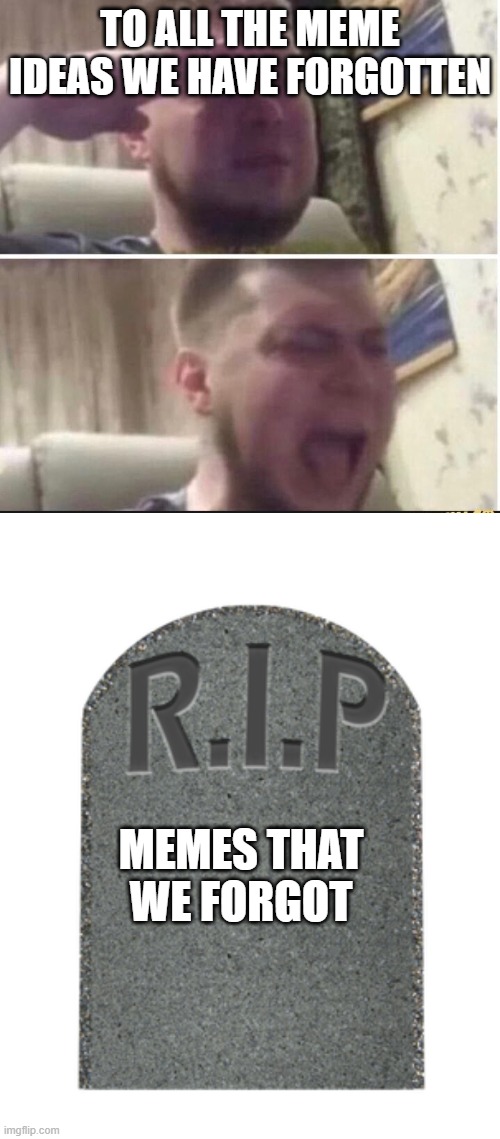  TO ALL THE MEME IDEAS WE HAVE FORGOTTEN; MEMES THAT WE FORGOT | image tagged in crying salute,rip tombstone,rip | made w/ Imgflip meme maker