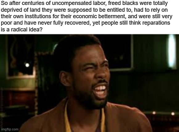 Reparations should NOT be controversial. | So after centuries of uncompensated labor, freed blacks were totally
deprived of land they were supposed to be entitled to, had to rely on
their own institutions for their economic betterment, and were still very
poor and have never fully recovered, yet people still think reparations
is a radical idea? | image tagged in chris rock - what,black history month,reparations,slavery,african-americans,capitalism | made w/ Imgflip meme maker