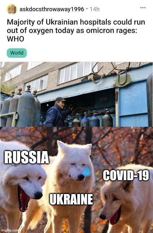 Poor Ukraine... ToT |  RUSSIA; COVID-19; UKRAINE | image tagged in 2/3 wolves laugh,ukraine,coronavirus,covid-19,omicron,memes | made w/ Imgflip meme maker
