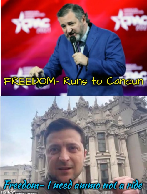 FREEDOM! | FREEDOM- Runs to Cancun; Freedom- I need ammo not a ride | image tagged in ted cruz,volodyrmyr zelenskyy,leadership,courage the cowardly dog | made w/ Imgflip meme maker