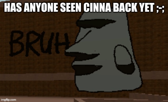 Bruh | HAS ANYONE SEEN CINNA BACK YET ;-; | image tagged in bruh | made w/ Imgflip meme maker