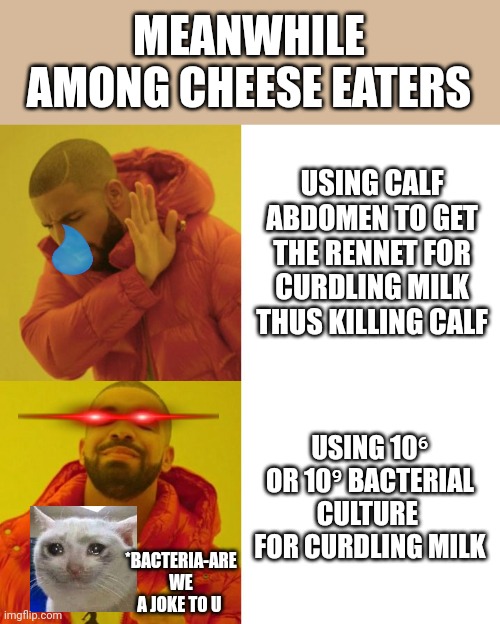 Drake Blank | MEANWHILE AMONG CHEESE EATERS; USING CALF ABDOMEN TO GET THE RENNET FOR CURDLING MILK THUS KILLING CALF; USING 10⁶ OR 10⁹ BACTERIAL CULTURE  FOR CURDLING MILK; *BACTERIA-ARE WE A JOKE TO U | image tagged in drake blank | made w/ Imgflip meme maker