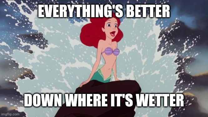 EVERYTHING'S BETTER DOWN WHERE IT'S WETTER | image tagged in little mermaid | made w/ Imgflip meme maker