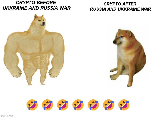 Buff Doge vs. Cheems | CRYPTO BEFORE 
UKKRAINE AND RUSSIA WAR; CRYPTO AFTER
 RUSSIA AND UKKRAINE WAR; 🤣🤣🤣🤣🤣🤣🤣 | image tagged in memes,buff doge vs cheems | made w/ Imgflip meme maker