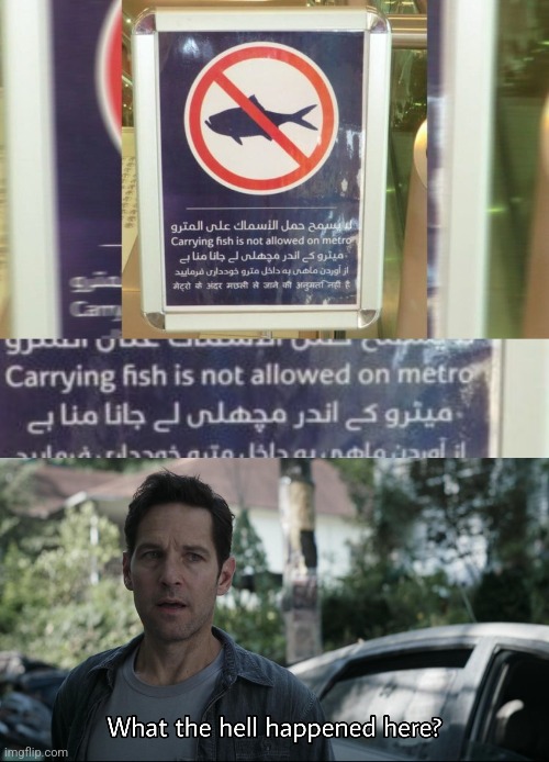 "A Man and a Salmon Got On the A-Train..." | image tagged in confused ant-man,fish,funny signs | made w/ Imgflip meme maker