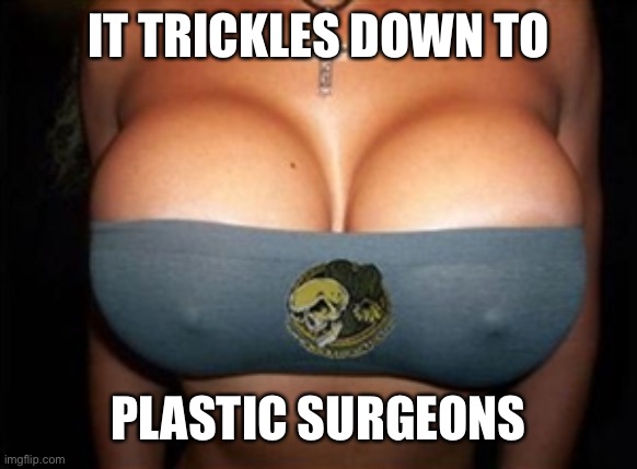 big boobs | IT TRICKLES DOWN TO PLASTIC SURGEONS | image tagged in big boobs | made w/ Imgflip meme maker