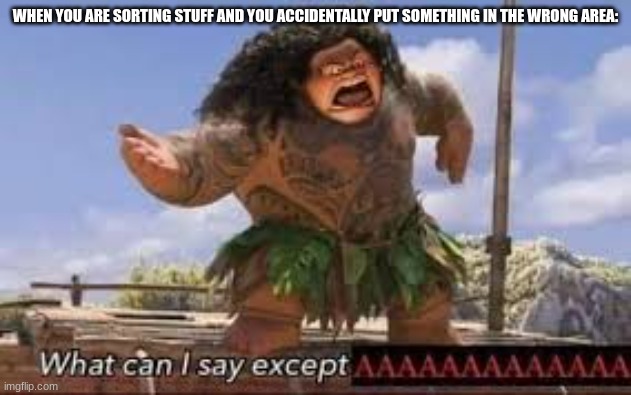 Image Title | WHEN YOU ARE SORTING STUFF AND YOU ACCIDENTALLY PUT SOMETHING IN THE WRONG AREA: | image tagged in what can i say except aaaaaaaaaaa | made w/ Imgflip meme maker