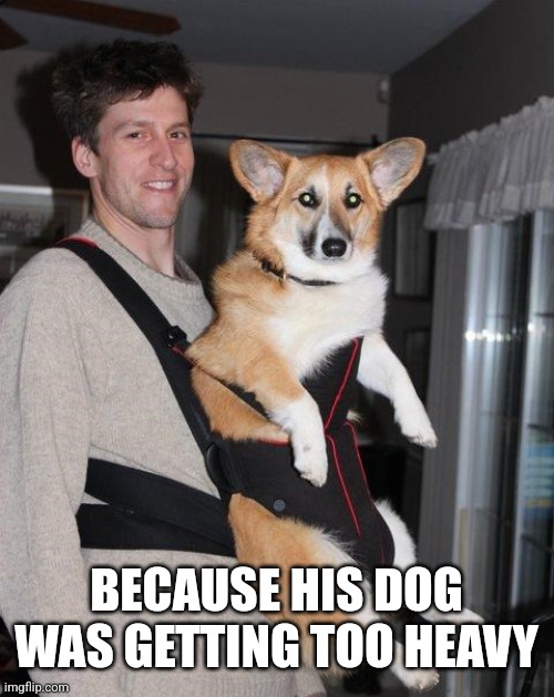 BECAUSE HIS DOG WAS GETTING TOO HEAVY | made w/ Imgflip meme maker