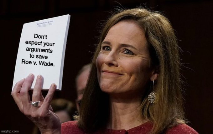 Amy Coney Barrett Notebook | Don't expect your arguments to save Roe v. Wade. | image tagged in amy coney barrett notebook | made w/ Imgflip meme maker