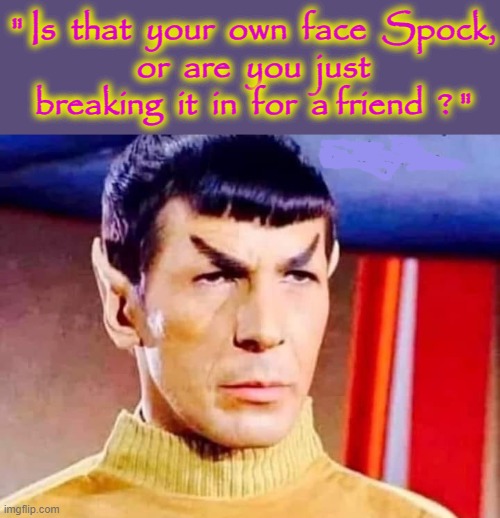 Best face on ! | " Is  that  your  own  face  Spock,
or  are  you  just
breaking  it  in  for  a friend  ? " | image tagged in star trek | made w/ Imgflip meme maker