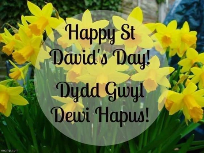 St. David`s Day | image tagged in wales | made w/ Imgflip meme maker