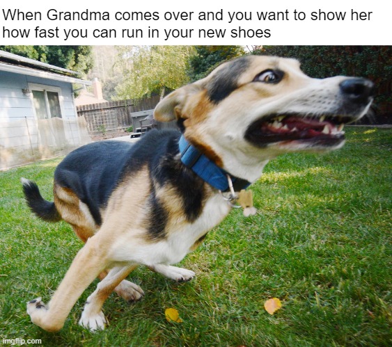 She was always faster than me --- but she never let on | When Grandma comes over and you want to show her
how fast you can run in your new shoes | made w/ Imgflip meme maker