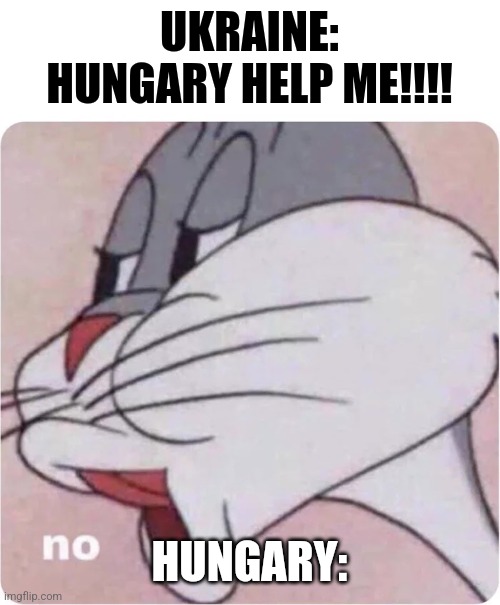 Shame on Viktor Orban. | UKRAINE: HUNGARY HELP ME!!!! HUNGARY: | image tagged in bugs bunny no,hungary,ukraine,war,why,memes | made w/ Imgflip meme maker