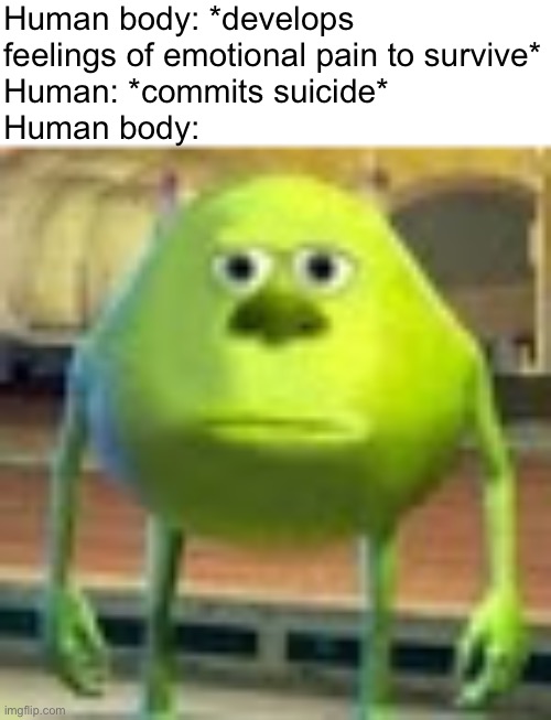 Bruh moment | Human body: *develops feelings of emotional pain to survive*
Human: *commits suicide*
Human body: | image tagged in sully wazowski | made w/ Imgflip meme maker