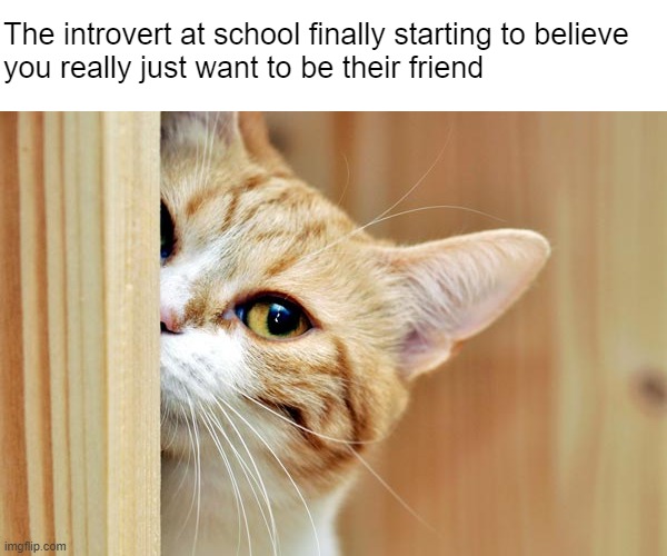 Some things you can't rush | The introvert at school finally starting to believe 
you really just want to be their friend | made w/ Imgflip meme maker