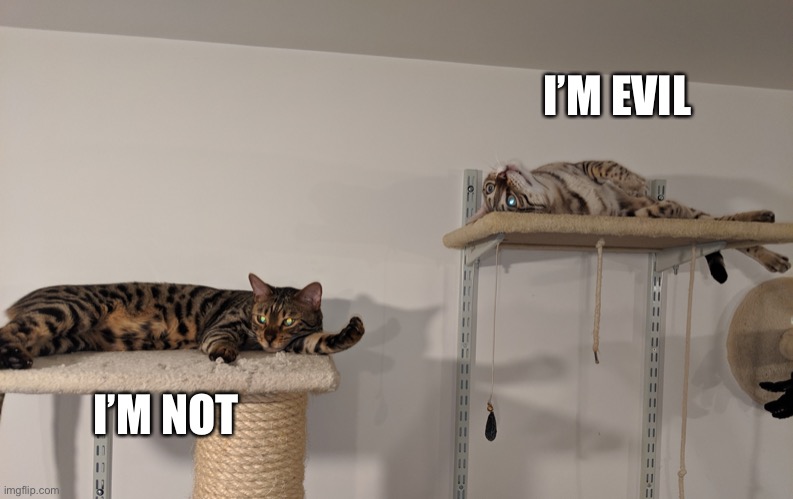 two brothers | I’M EVIL; I’M NOT | image tagged in two brothers | made w/ Imgflip meme maker