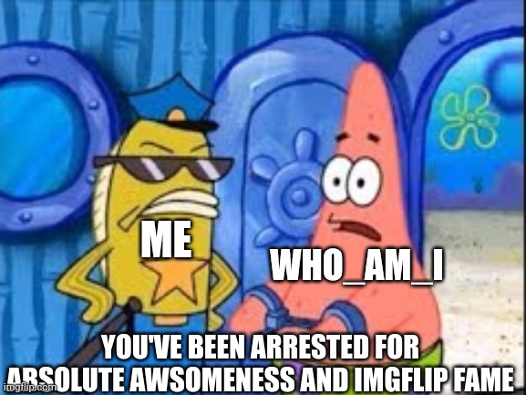ME; WHO_AM_I | image tagged in absolute awesomeness imgflip fame | made w/ Imgflip meme maker